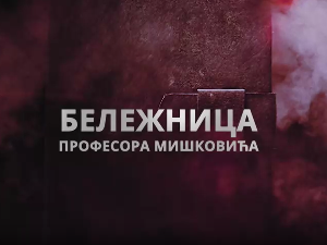 Бележница професора Мишковића, 9-12