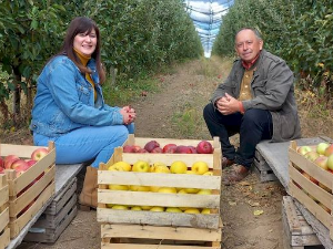 Изазови производње