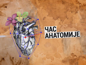 Час анатомије: Читање и тржиште
