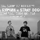 Ана Ћурчин, концерт 