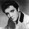Још наследника славног Елвиса
