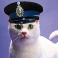 И последњи полицијски мачак оде у пензију