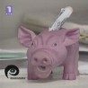 Око магазин