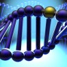 Откривени мутирани гени одговорни за рак плућа