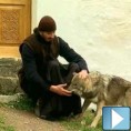 Монах и вук