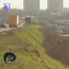 Око магазин: Кад поцрне малине