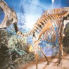 Откривене кости диносауруса