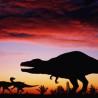 Шандунг - рај за диносаурусе 