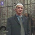 Око магазин: Судбина капетана Драгана