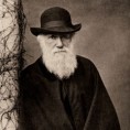 Прво издање Дарвинове књиге на продају