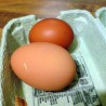 Кокошије јаје од 200 грама