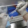 Два случаја новог грипа у Словенији и Бугарској