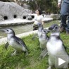 Марш пингвина 