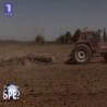 Шта радите, бре