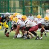 Вукови и Блу девилси за трофеј ЦЕФЛ лиге