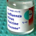 Пета жртва новог грипа у Хрватској 