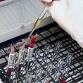 На трагу поуздане вакцине против ХИВ-а