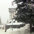 Јесу ли Срби раса