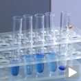 Међународни дан ретких болести