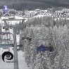Говори српски да те цела Америка разуме