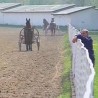 Удобан живот и сеоски послови