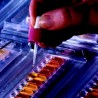 Српаста анемија и мождане функције
