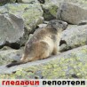 Гледаоци репортери (6.6.2010)