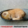 Гледаоци репортери (30.7.2010)