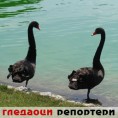 Гледаоци репортери (27.8.2010)