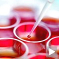Терапија матичним ћелијама на првом тесту
