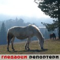 Гледаоци репортери (5. мај 2011)