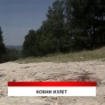Дневник