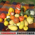 Гледаоци репортери (21. октобар 2011)