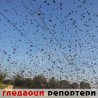 Гледаоци репортери (24. октобар 2011)