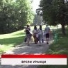 Дневник