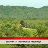 Дневник