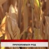 Дневник