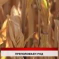 Дневник