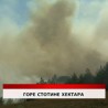 Дневник