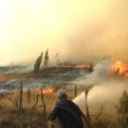 Пожари углавном због врућине