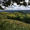 Село Гостиница - престоница воћа ужичког краја