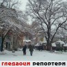 Гледаоци репортери (1. фебруар 2013)