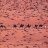 Караван