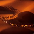 Караван