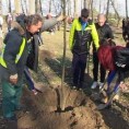 По једно стабло за сваку школску годину