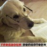 Гледаоци репортери (7. март 2013)