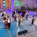Жикина шареница
