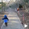 Паника у парку из доба Јуре
