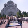 Жикина шареница 