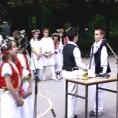 Жикина шареница